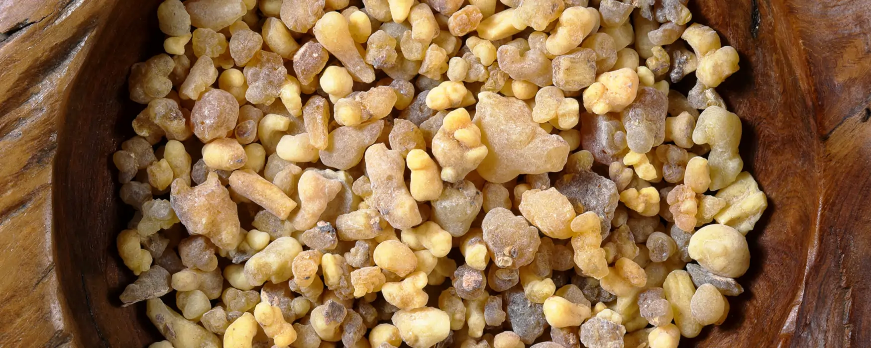 Frankincense (Boswellia carterii)