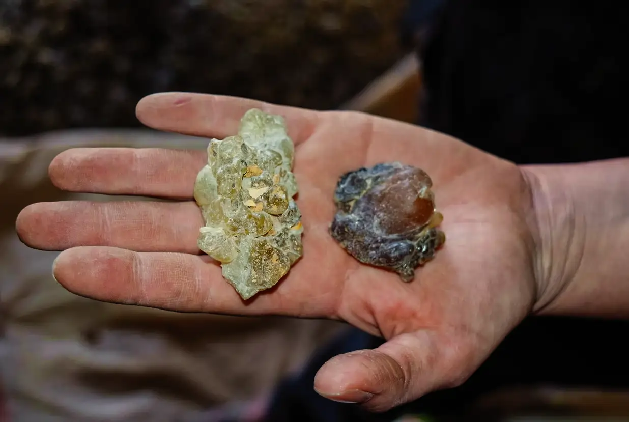 Somalian Holding Two Large Pieces of Frankincense