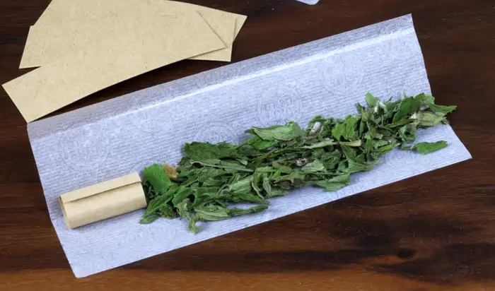 Skullcap-leaf-in-rolling-papers